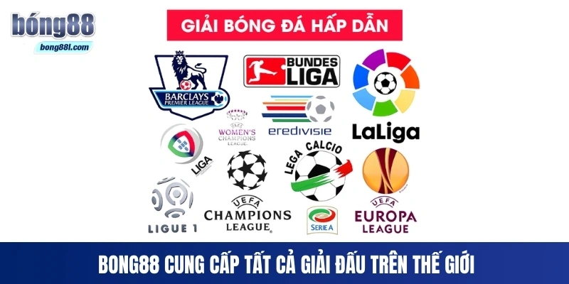Bong88 cung cấp tất cả giải đấu trên thế giới