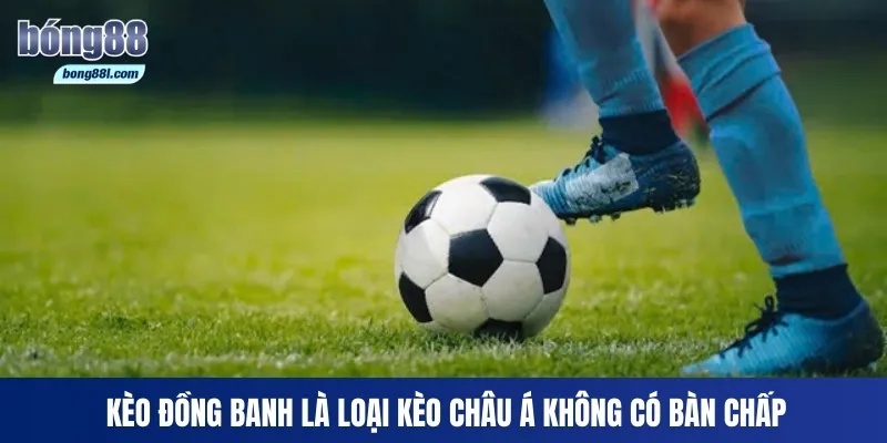 Kèo đồng banh là loại kèo châu Á không có bàn chấp