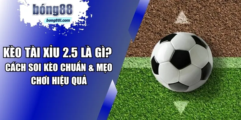 Kèo tài xỉu 2-5
