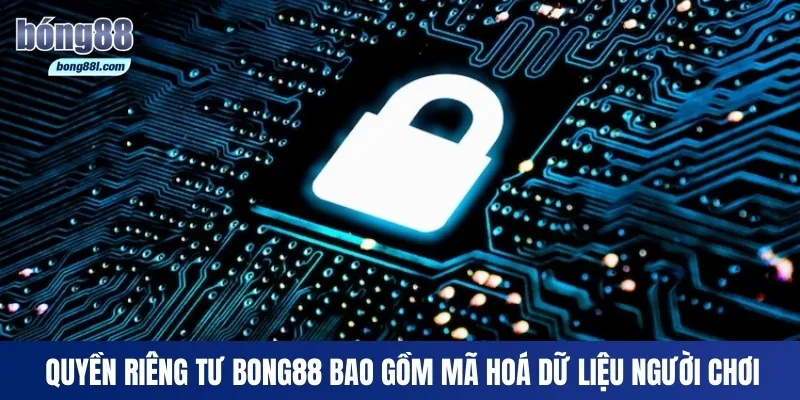 Quyền riêng tư Bong88 bao gồm mã hoá dữ liệu người chơi