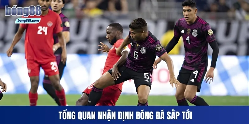 Tổng quan nhận định bóng đá sắp tới